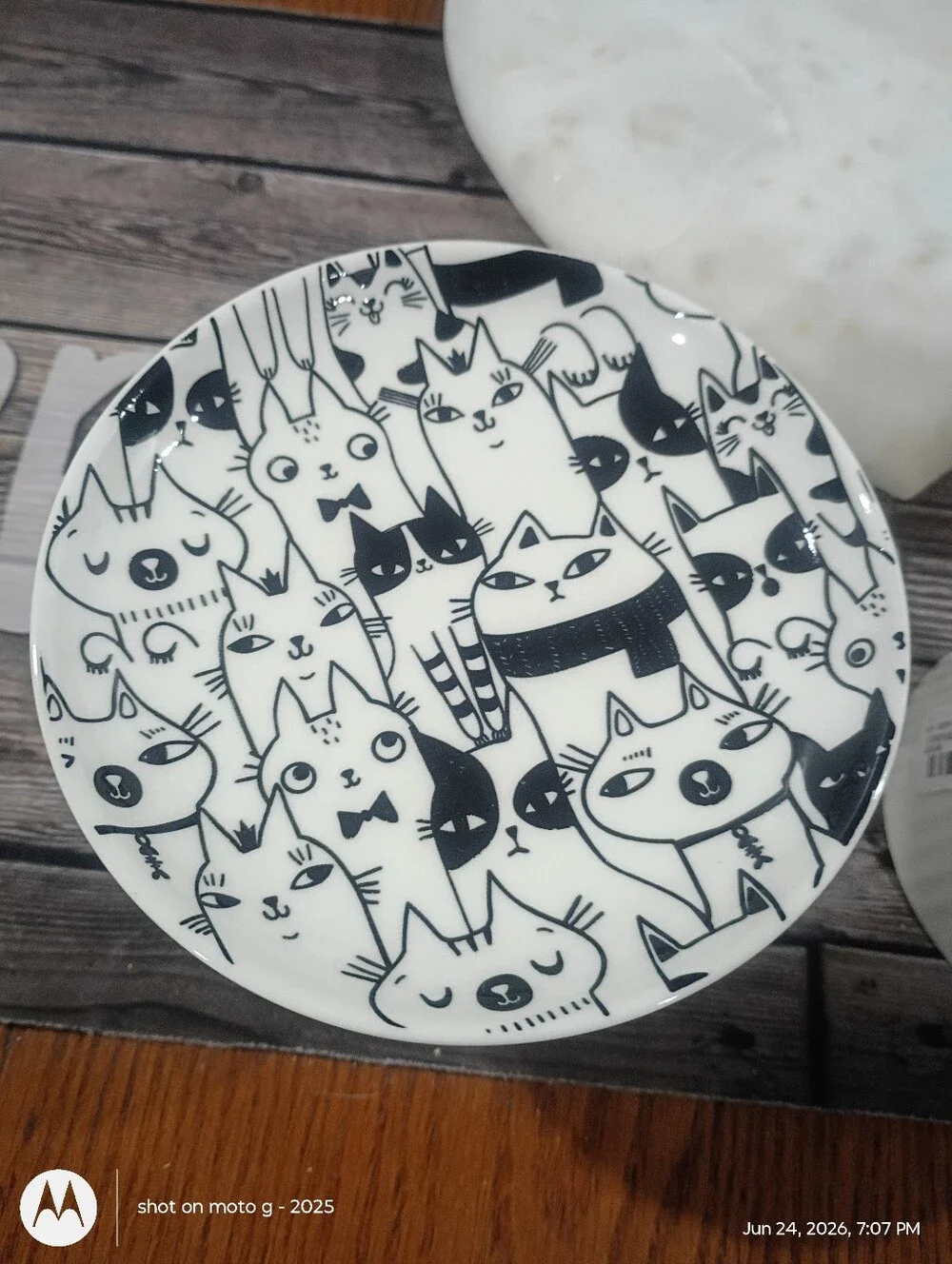 2 Signature Elevated Bowl Cat Design New